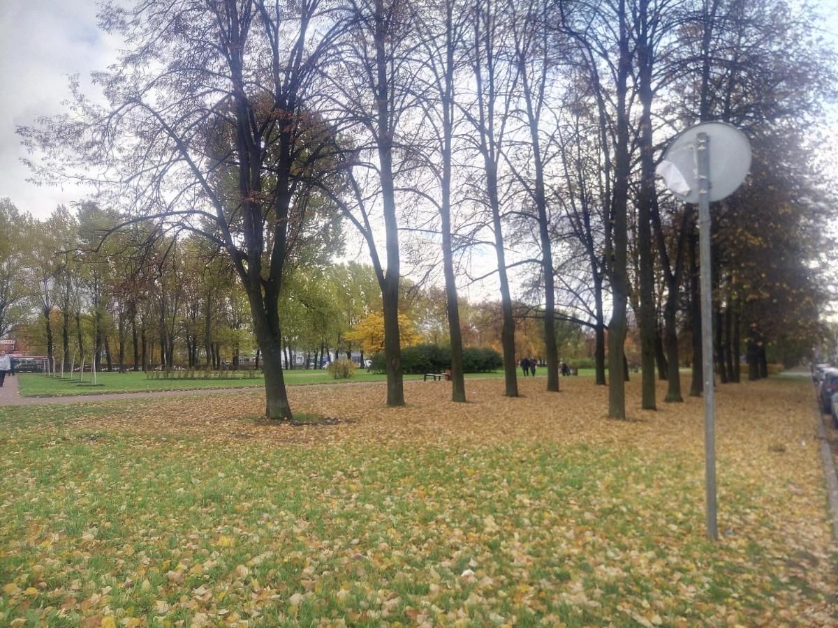 Отель Восток Санкт-Петербург-39